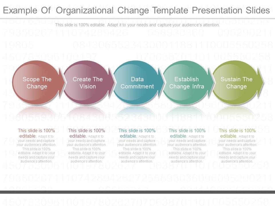 Download Example Of Organizational Change Template Presentation Slides