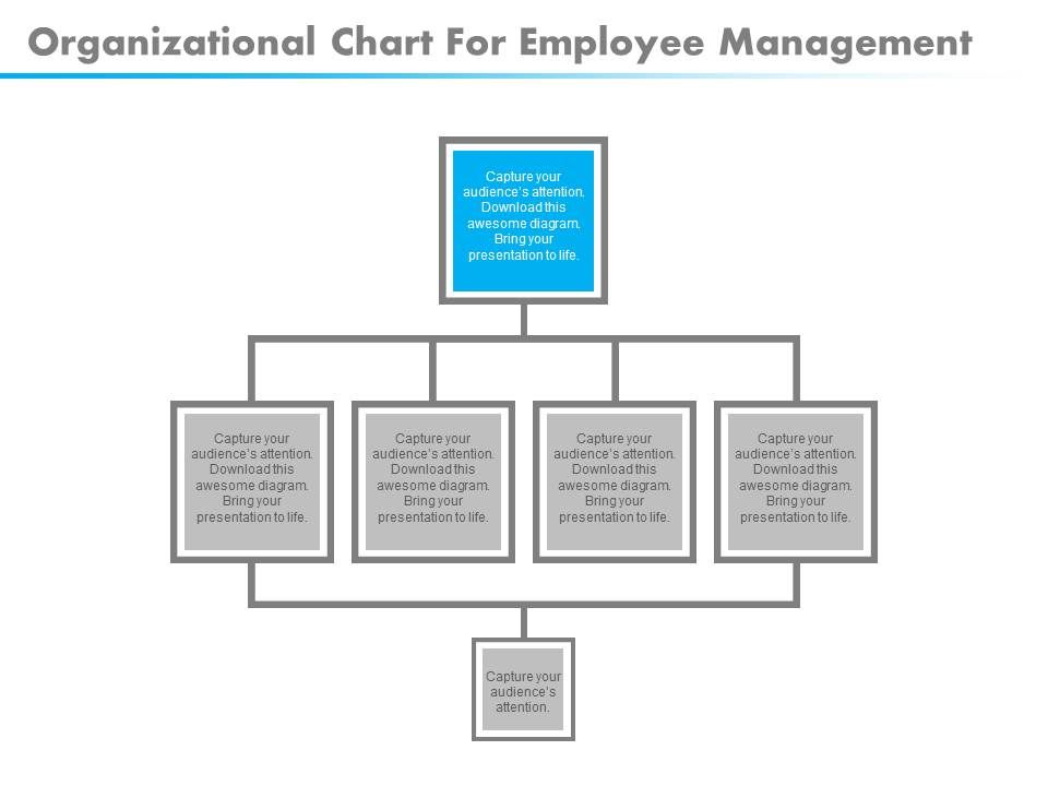 Organizational Chart Download