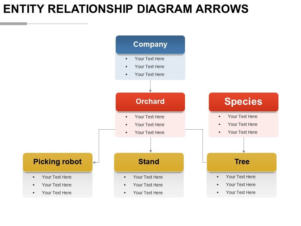 Entity Relationship Diagram Arrows Powerpoint Presentation Images Templates Ppt Slide Templates For Presentation