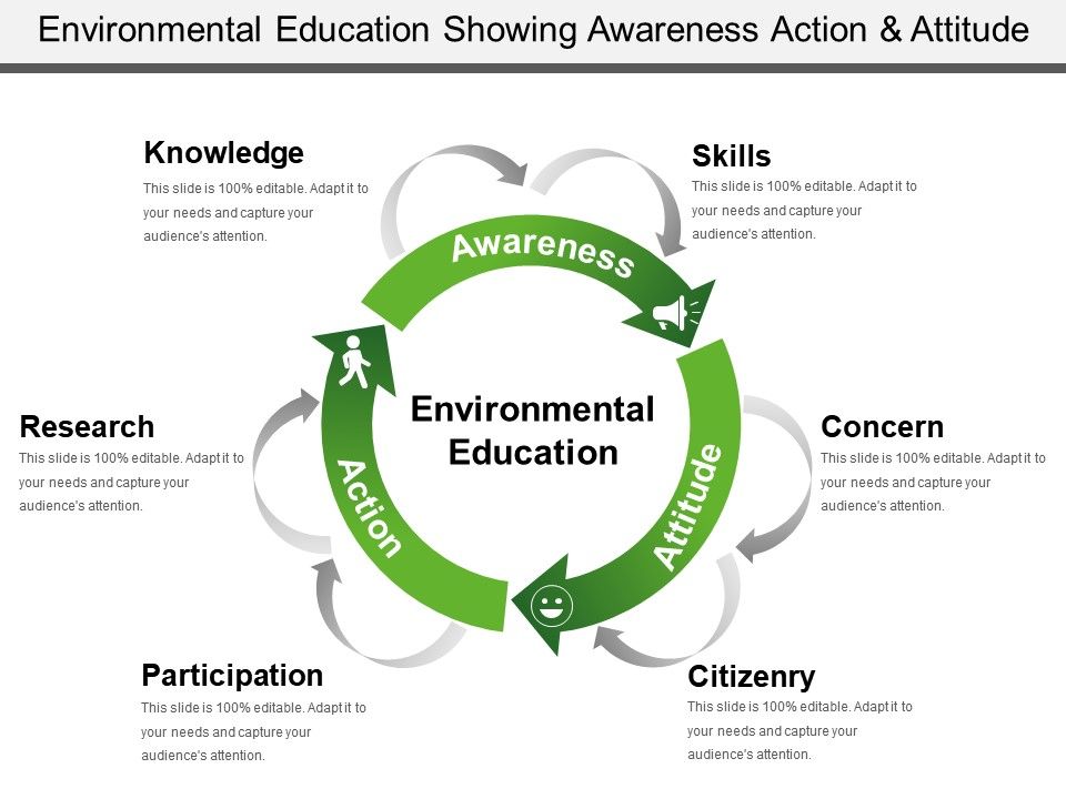 Environmental Education Showing Awareness Action And Attitude