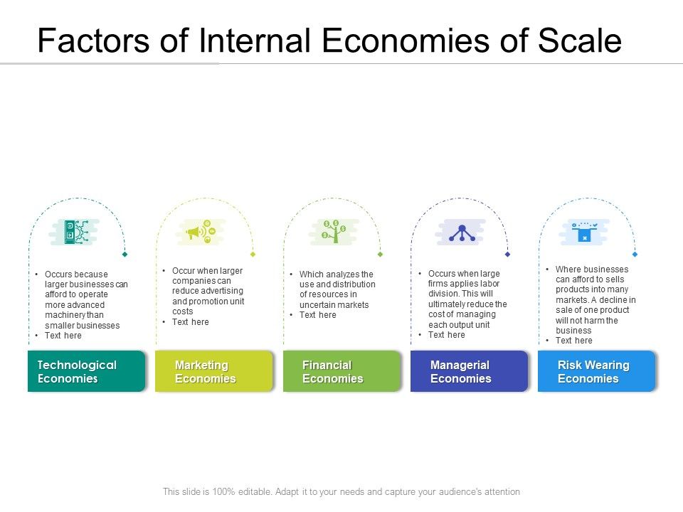 Factors Of Internal Economies Of Scale PowerPoint Presentation Sample