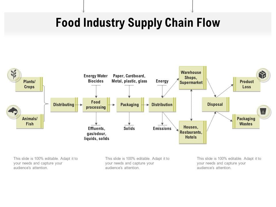 Food Industry Supply Chain Flow | Presentation Graphics | Presentation