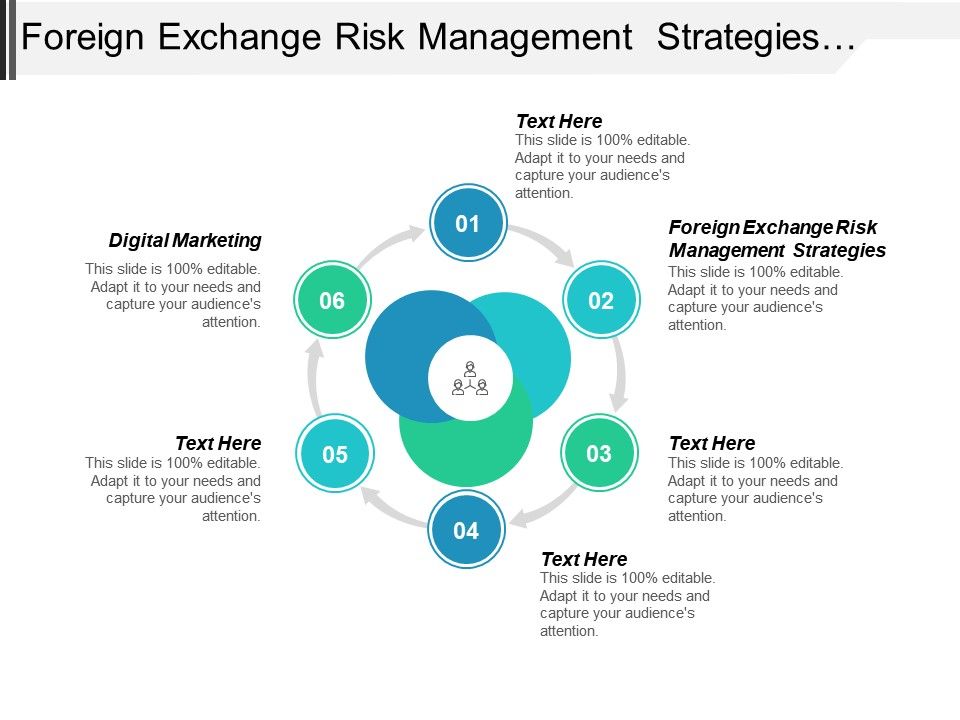 Foreign Exchange Risk Management Strategies Digital Marketing - 