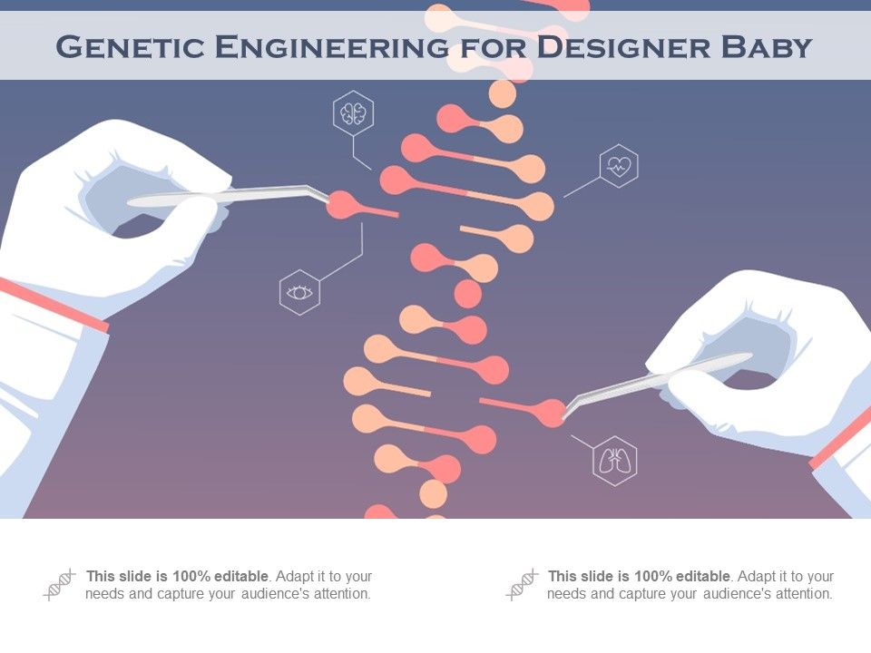 Genetic Engineering For Designer Baby | PowerPoint Templates ...