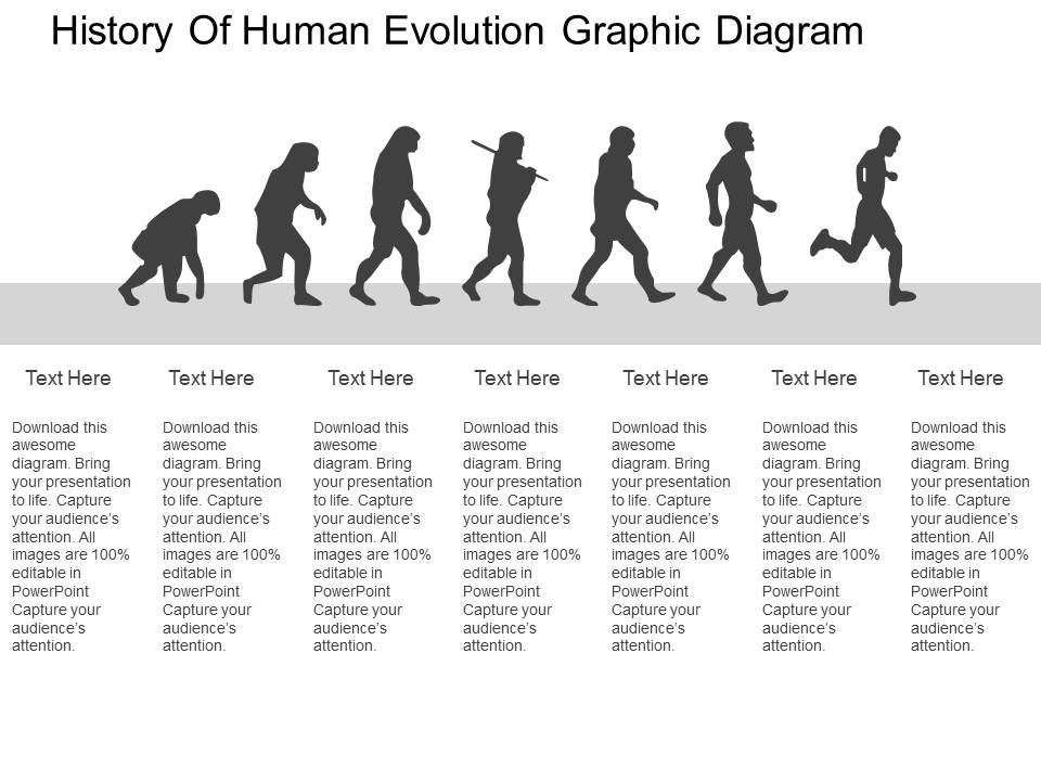 make presentation on human evolution