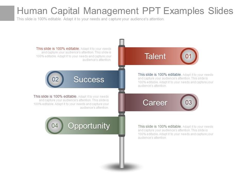 Human Capital Management Ppt Examples Slides PowerPoint Design 