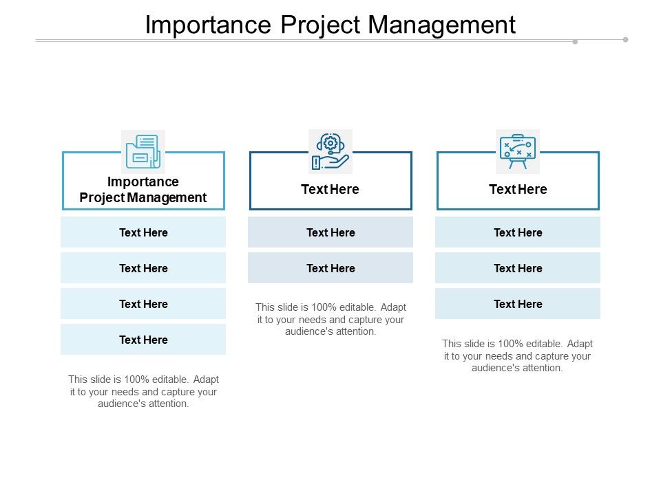 Importance Project Management Ppt Powerpoint Presentation Ideas Cpb ...