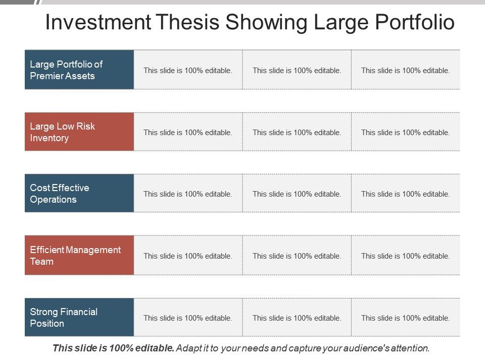 Investment Thesis Slide Investment Mania
