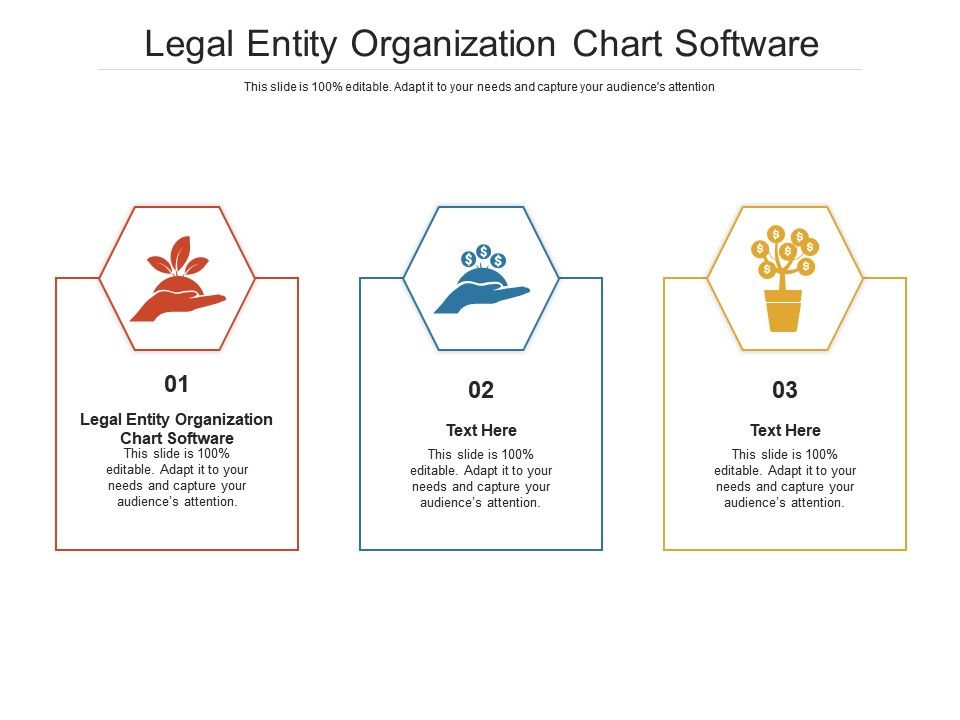Entity Organization Chart