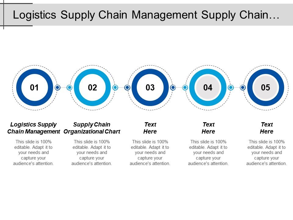 Supply Chain Manager Organization Chart