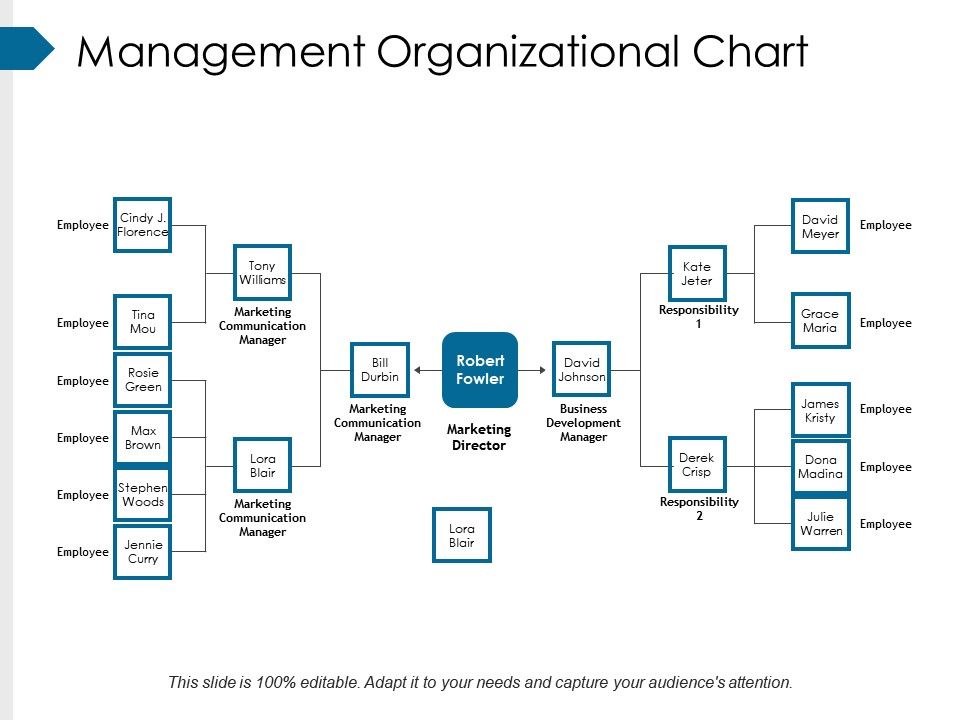 Organizational Chart Clipart