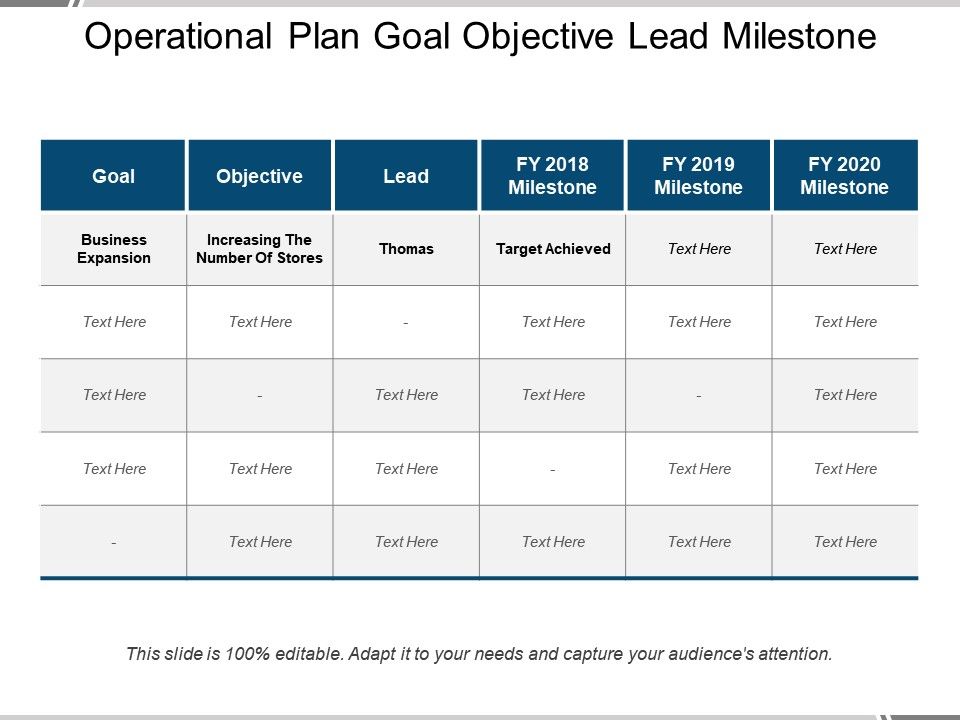 goals and milestones in business plan