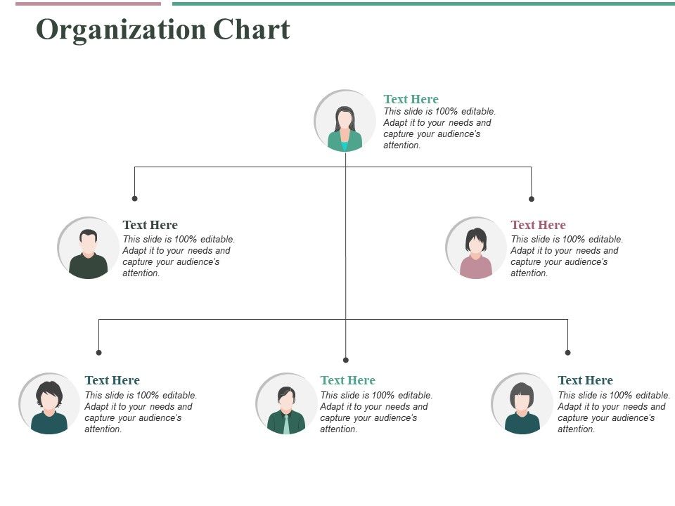 Master Organizational Chart