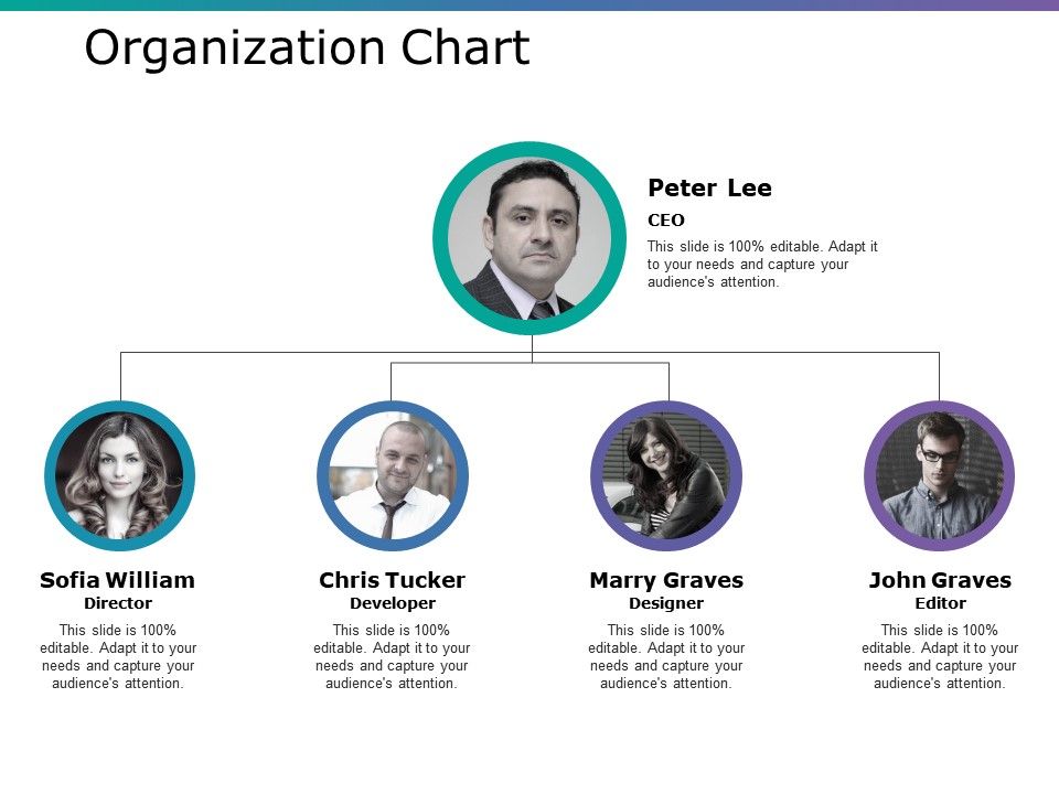 Professional Organization Chart