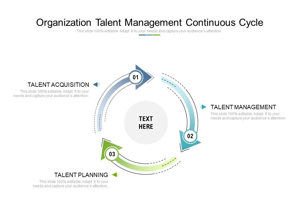 Talent Management Org Chart