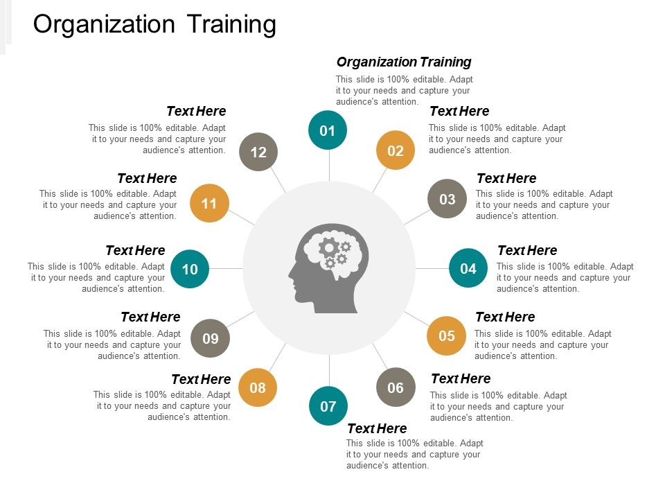organization training ppt powerpoint presentation pictures training powerpoint presentation