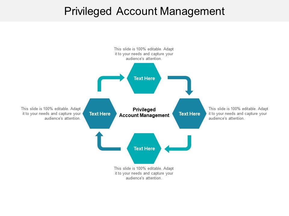 privileged account management software