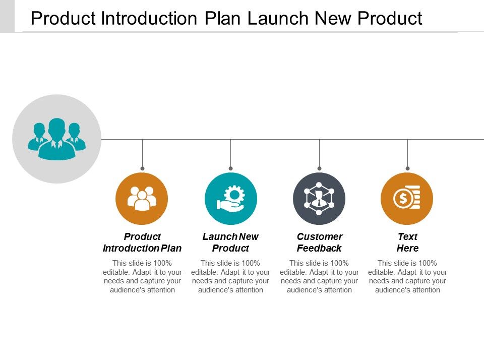 Product Introduction Plan Launch New Product Customer