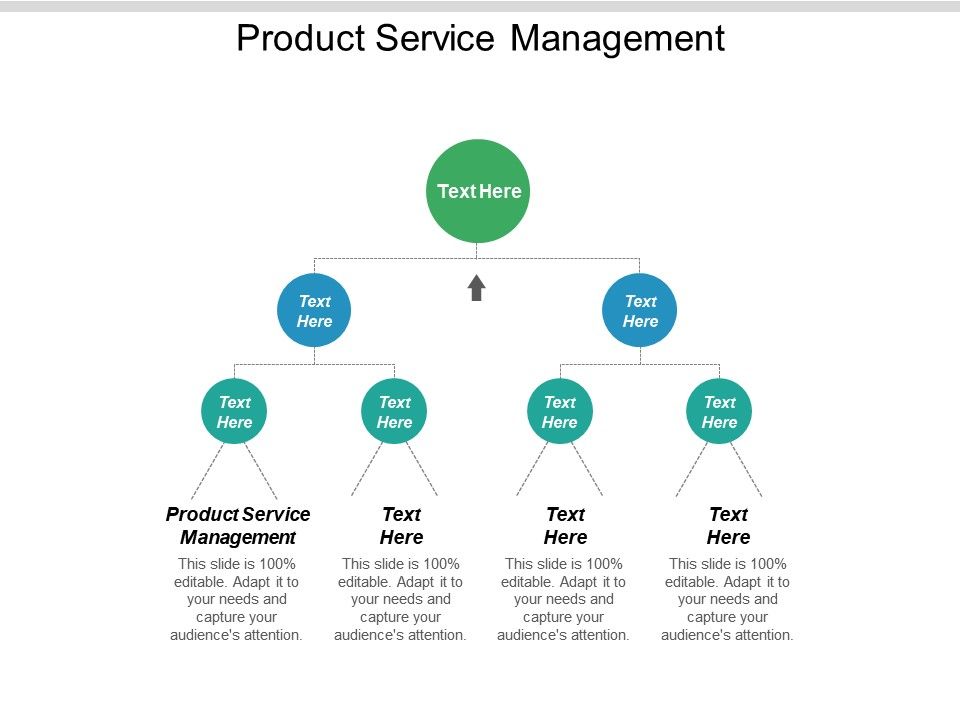 Product Service Management Examples