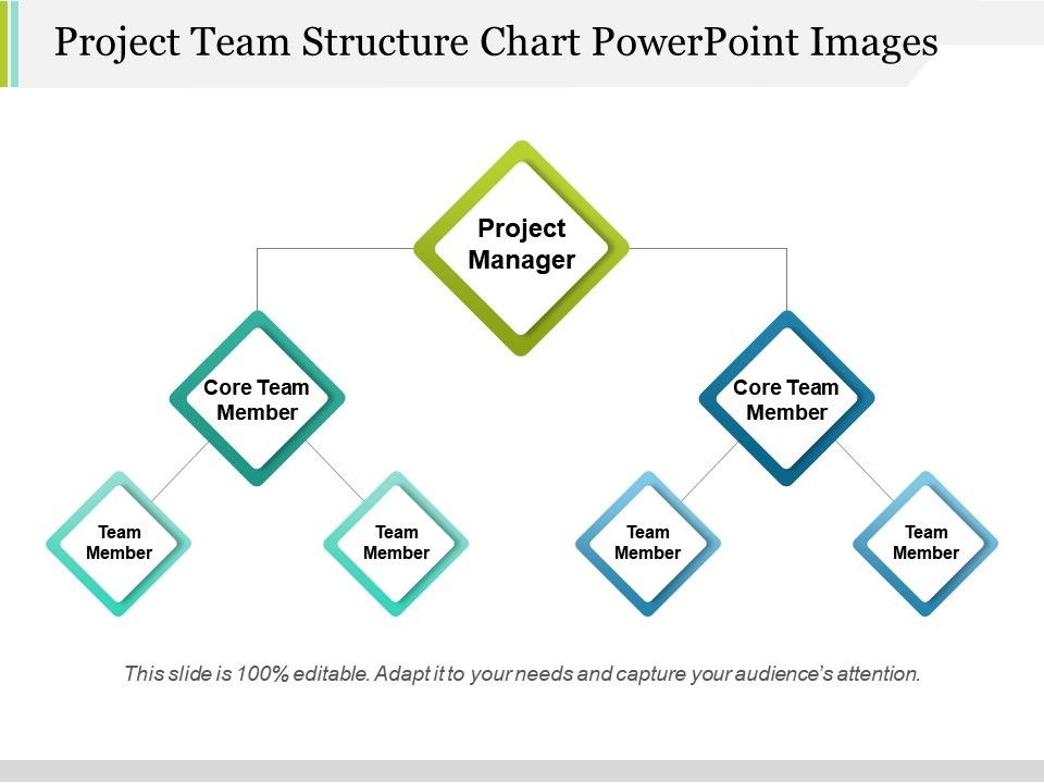 Project Team Structure Chart