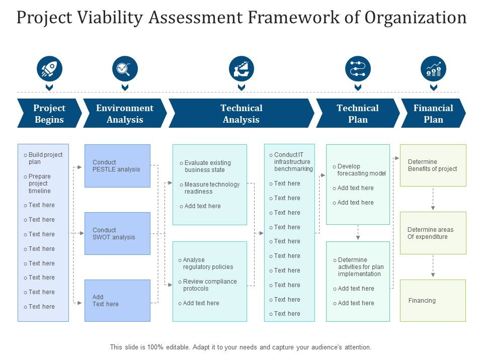 Project Viability Assessment Framework Of Organization | Presentation ...