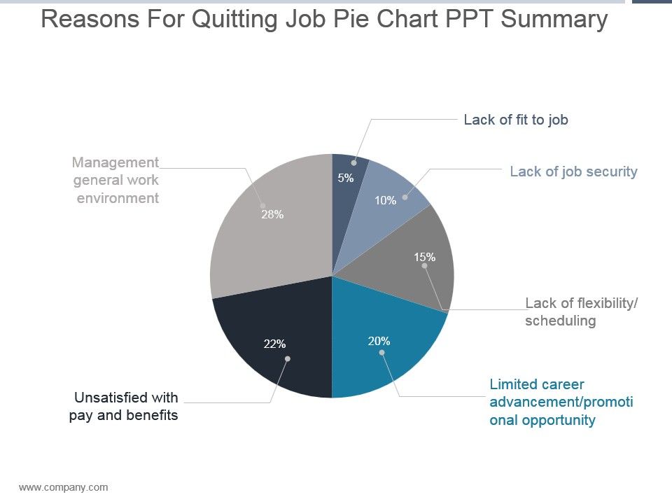 reasons for quitting job pie chart ppt summary powerpoint reasons for quitting job