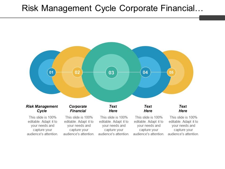 what is financial risk management process