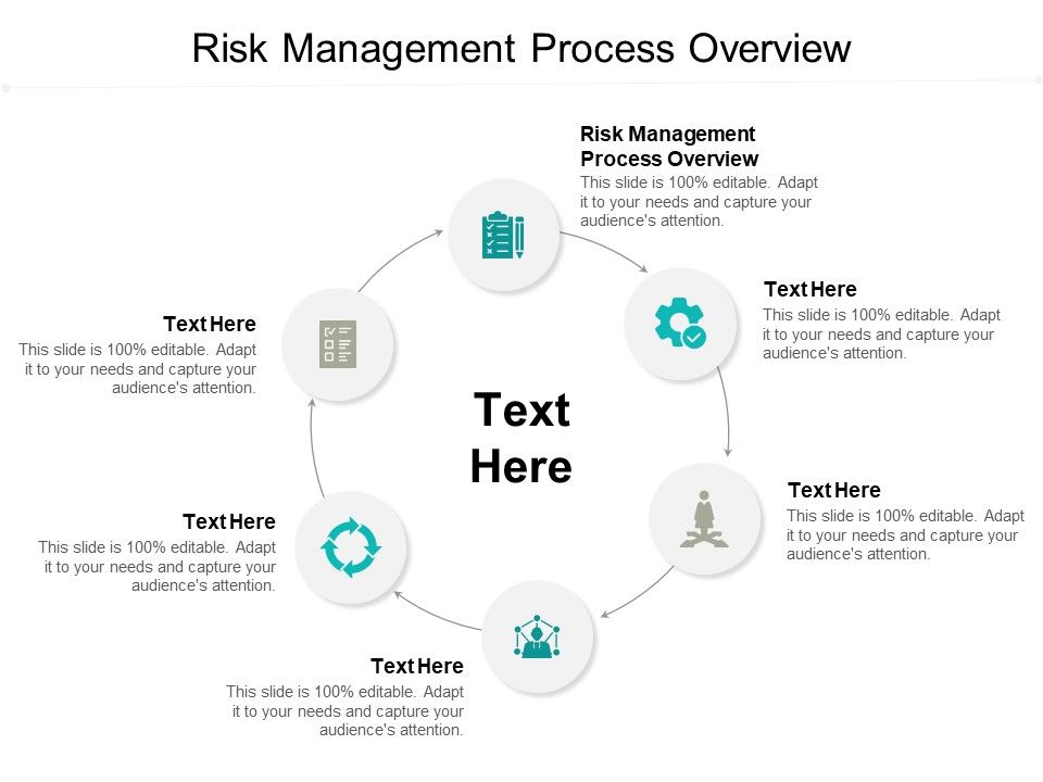Risk Management Process Overview Ppt Powerpoint Presentation File