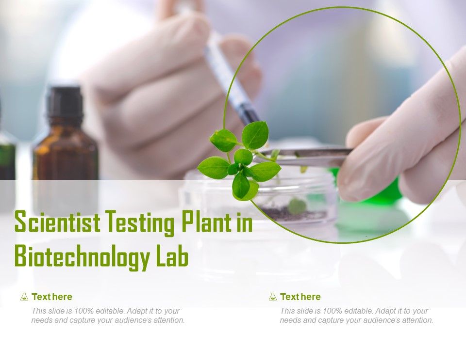Scientist Testing Plant In Biotechnology Lab | Presentation PowerPoint ...