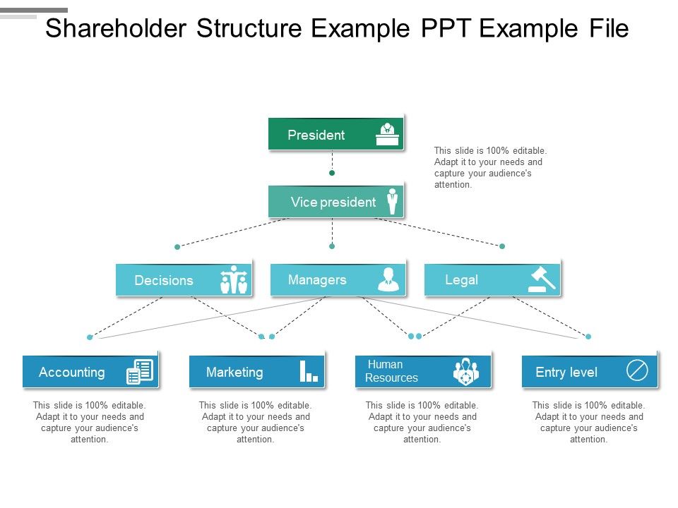 Shareholder Structure Example Ppt Example File Template Presentation