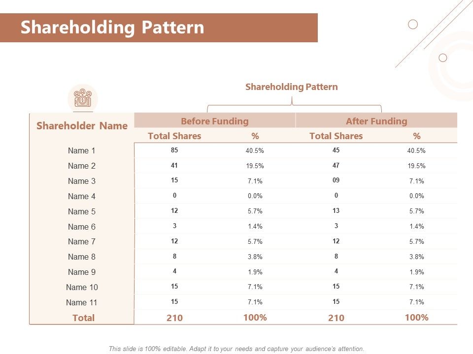 Shareholding Pattern Total Shares Ppt Powerpoint Presentation Visual