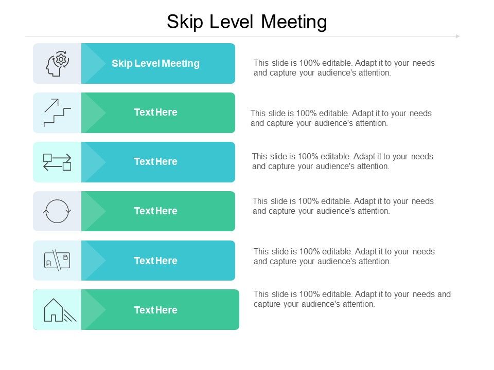 Skip Level Meeting Ppt Powerpoint Presentation Outline Good Cpb