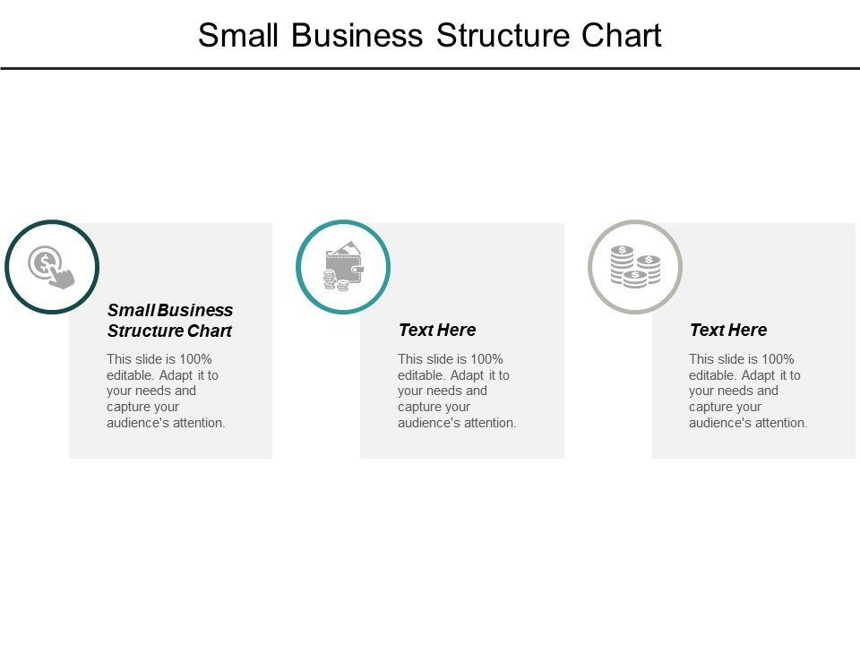 Small Business Structure Chart