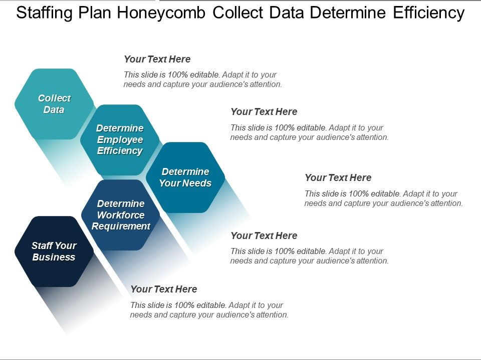 Staffing Plan Honeycomb Collect Data Determine Efficiency | PowerPoint ...