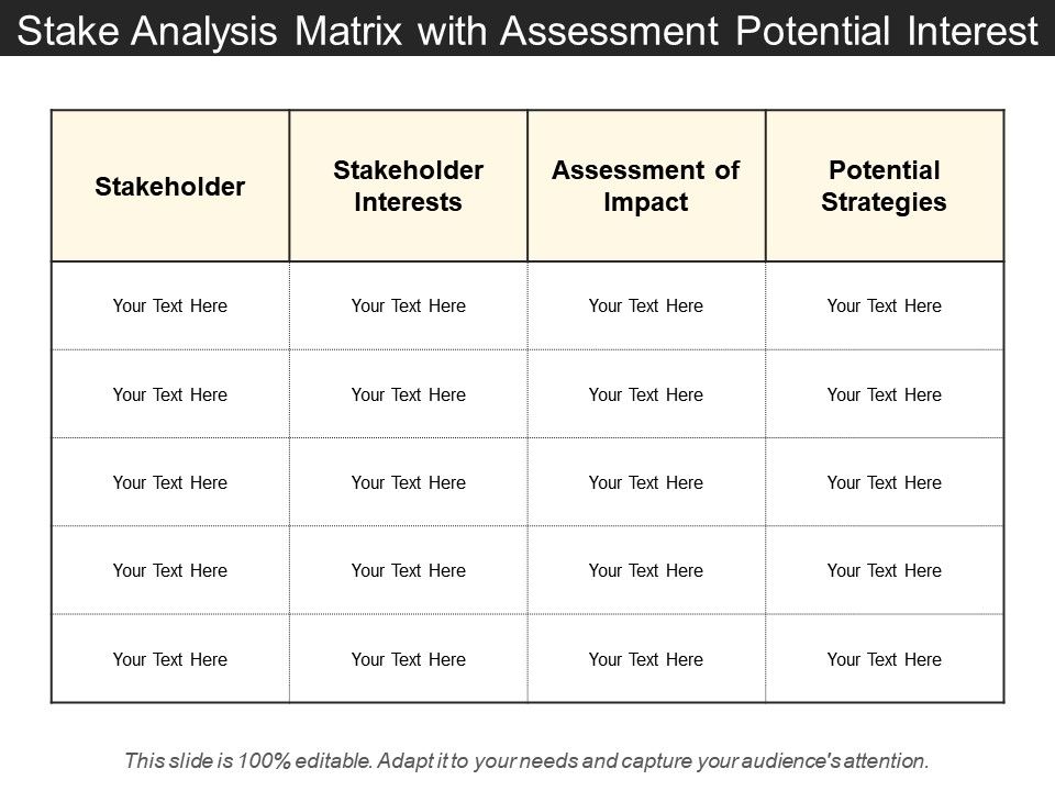 Stake Analysis Matrix With Assessment Potential Interest | PowerPoint ...