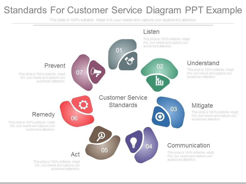 Standards For Customer Service Diagram Ppt Example