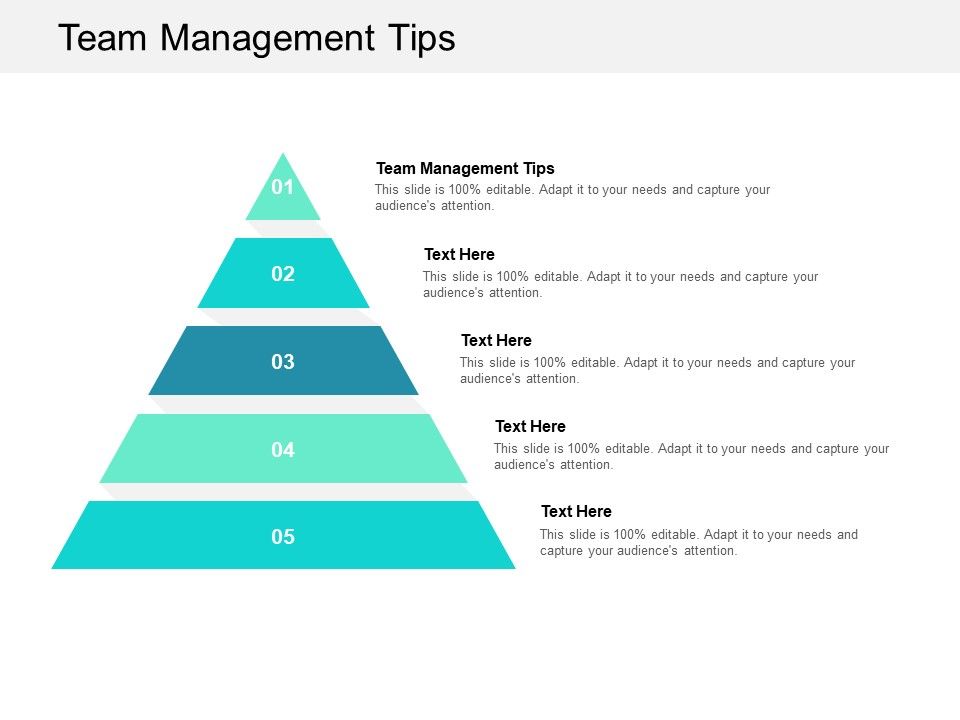 Team Management Tips Ppt Powerpoint Presentation Infographics Sample ...