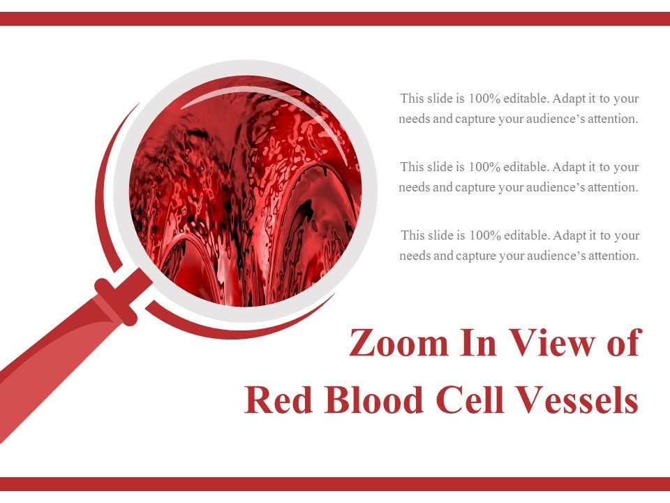 Zoom In View Of Red Blood Cell Vessels Presentation Graphics Presentation Powerpoint Example Slide Templates