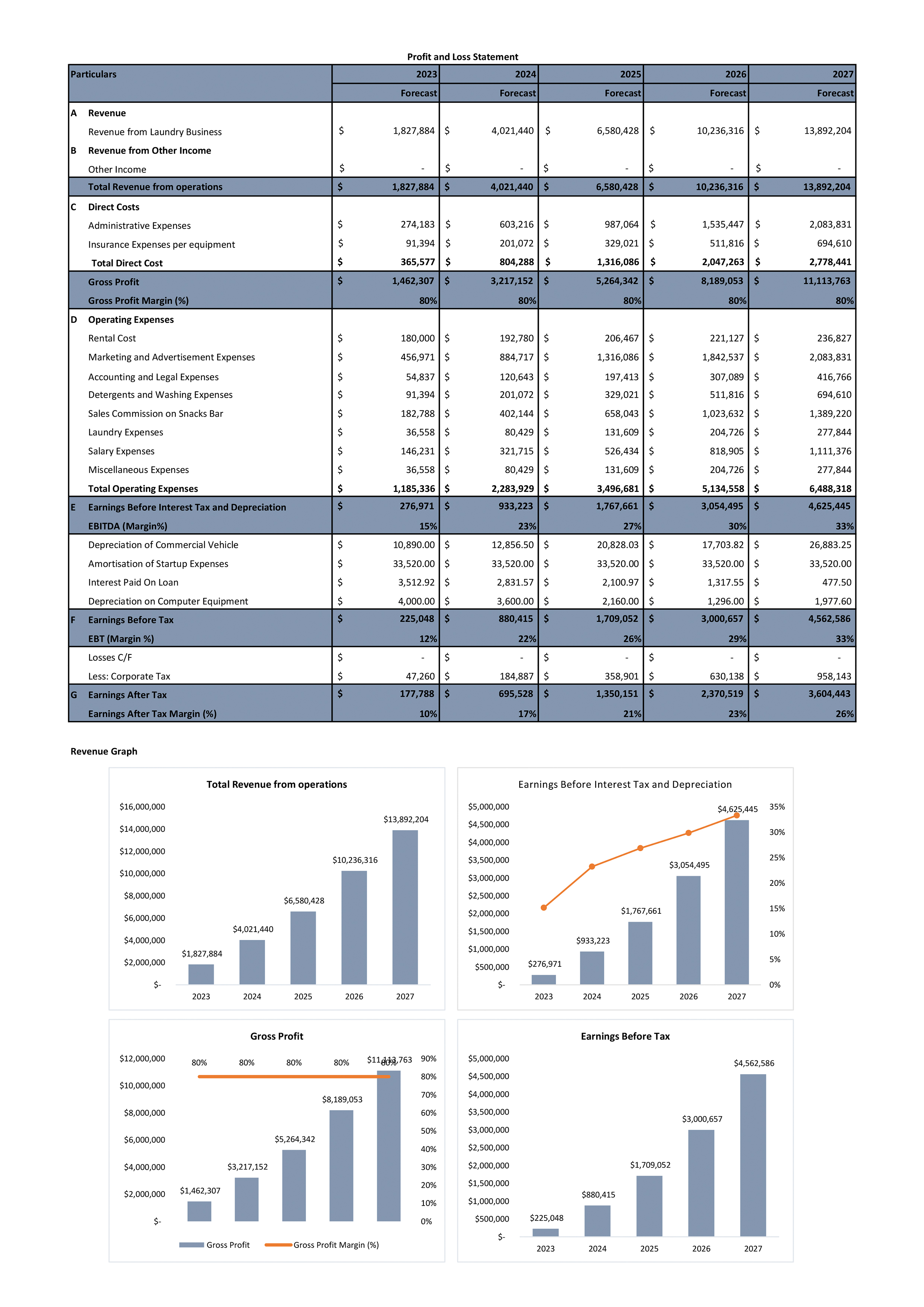 Financial Statements And Valuation For Laundry And Dry Cleaning