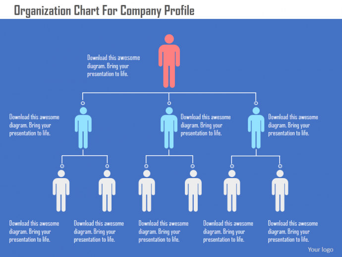 Organization chart for company profile flat PowerPoint design