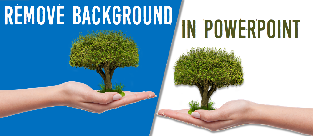 How to Remove the Background from the Image in PowerPoint - The SlideTeam  Blog