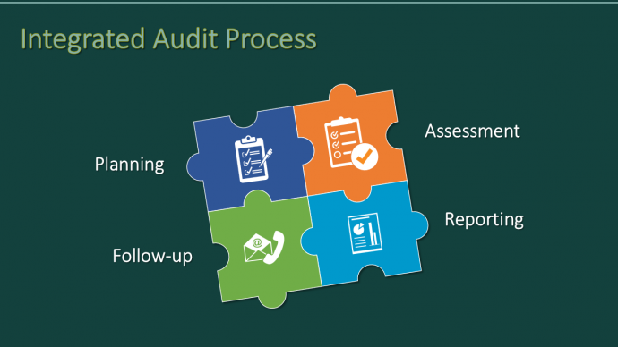 Integrated Audit Process