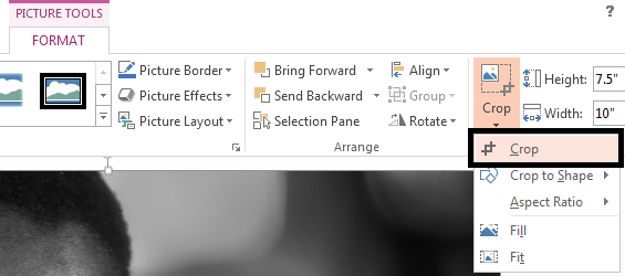 Locate the Crop button in PowerPoint Ribbon