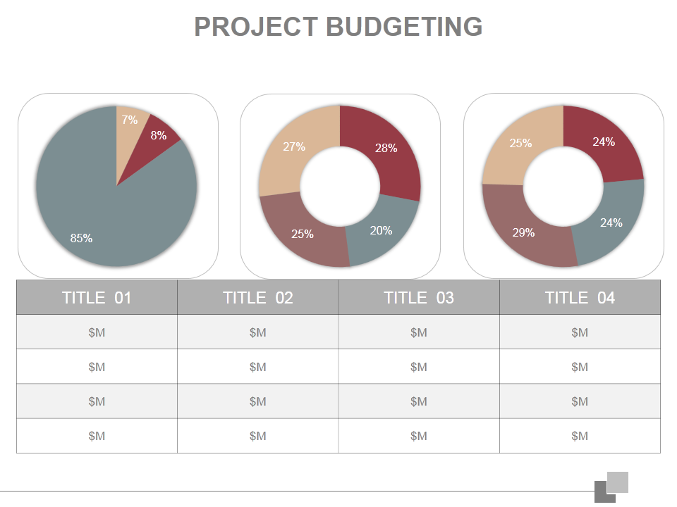 Project Budgeting 