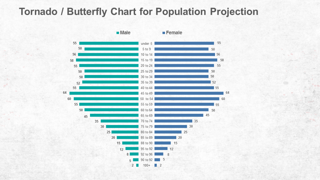 Tornado Butterfly Chart for Population Projection