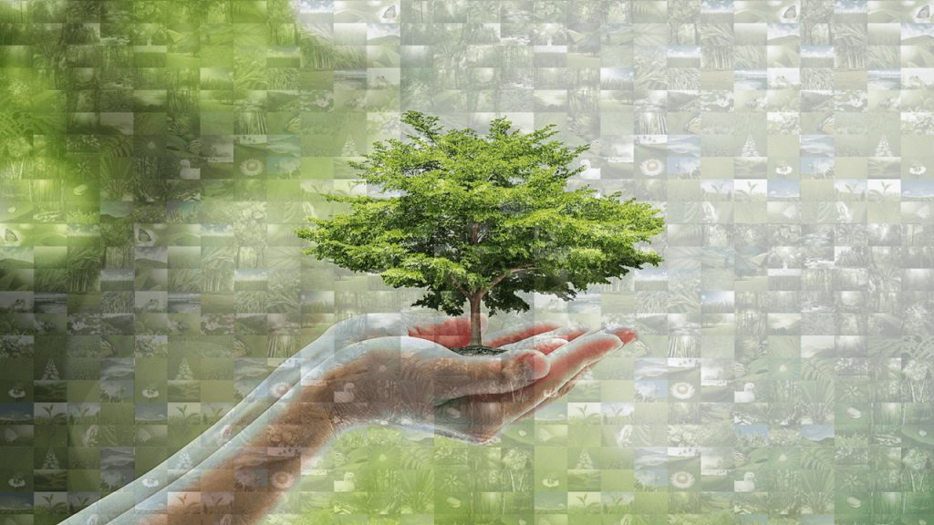Environment Photo Mosaic Collage Saving Trees