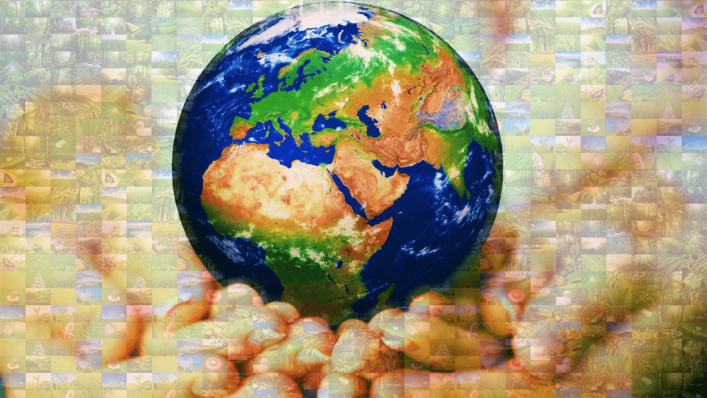 Environment Globe Photo Mosaic Nature Collage 