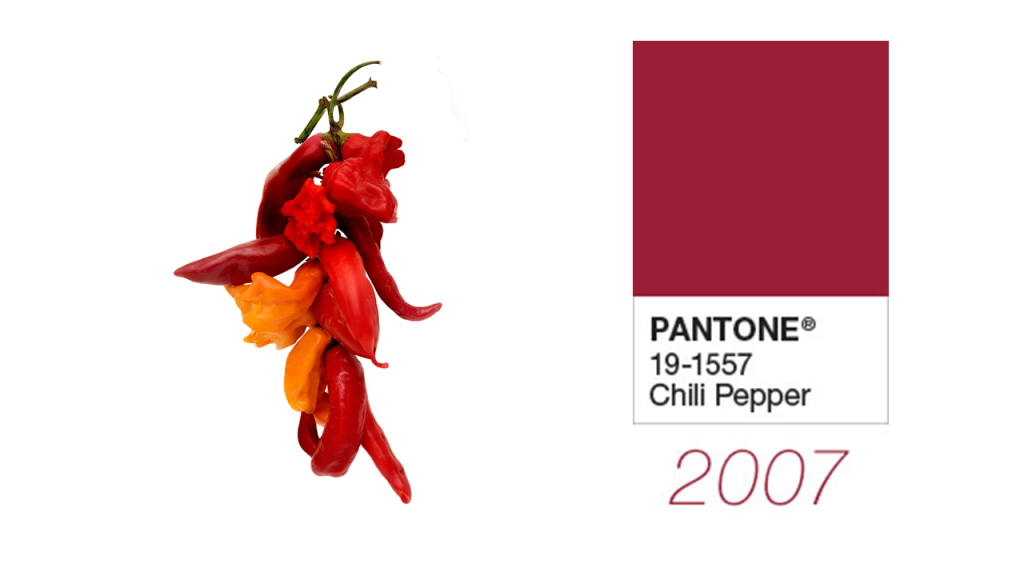 Pantone Color of the Year 2007- Chilli Pepper