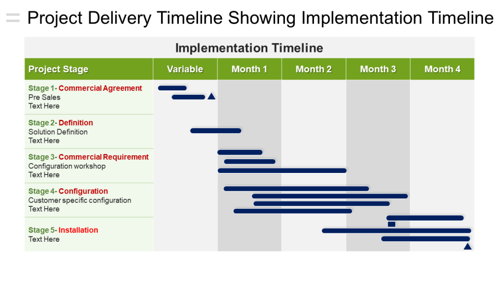 Project Delivery Roadmap PPT Slide