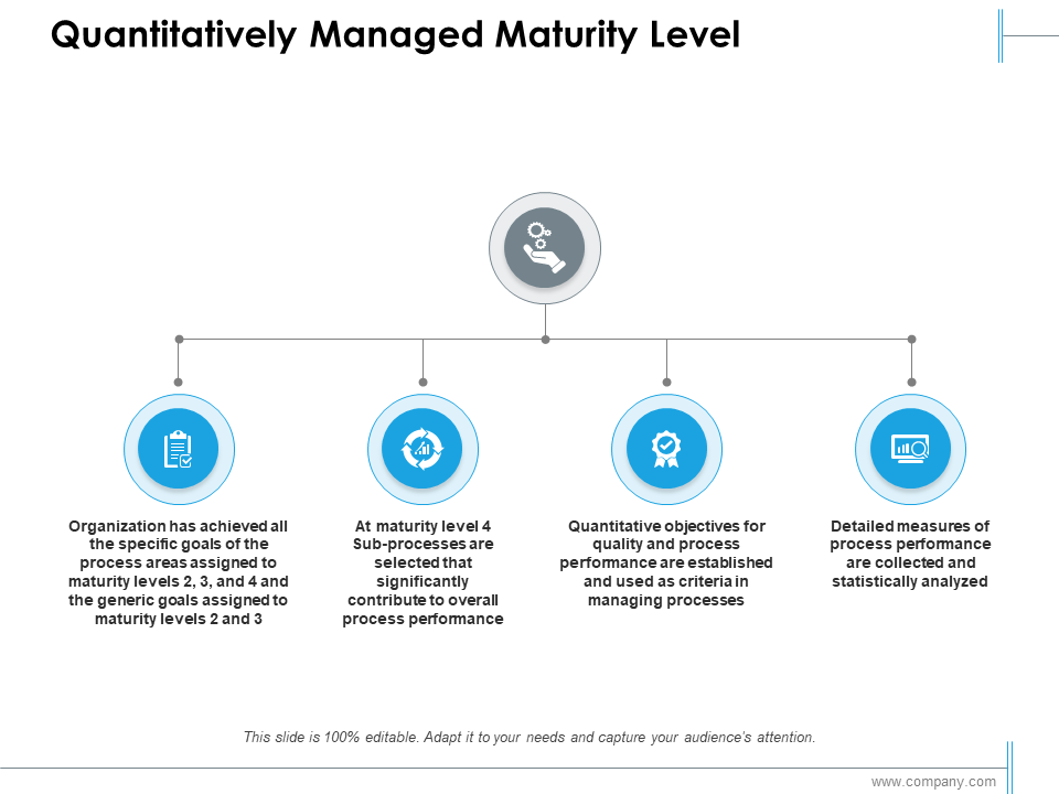 Quantitatively Managed Maturity Level